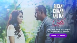 Kerana 17 episod aku tak bukan cinta Discover bukan